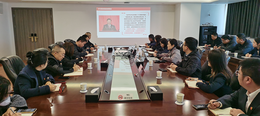 集團黨委委員、副總經(jīng)理賀維維同志講授專題黨課